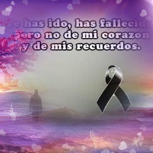 Meet your Posher, Rocio